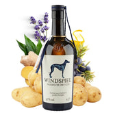 Windspiel Premium Dry Gin - GiNFAMILY